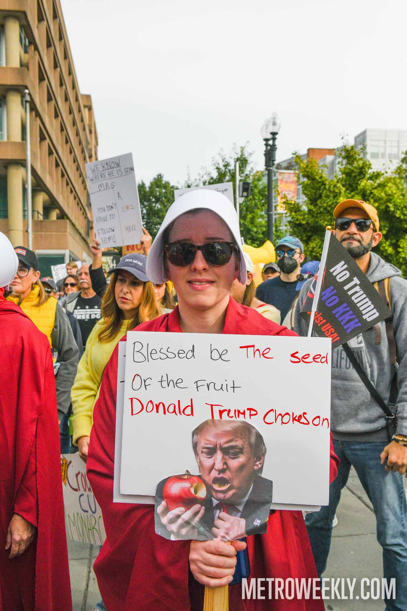 #11 of 147 : 2025-10-23_3013_178364.jpg